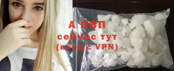 прущие грибы Наволоки
