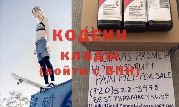 прущие грибы Наволоки