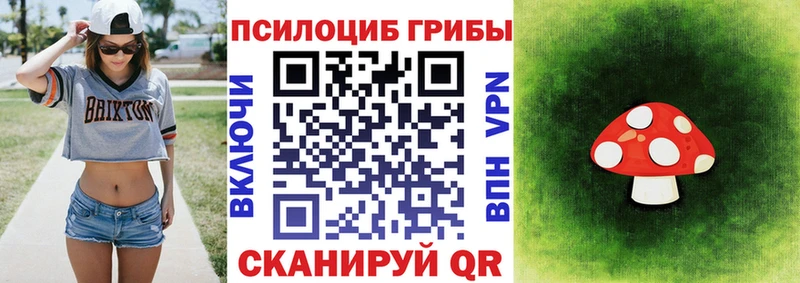 Галлюциногенные грибы Psilocybe  Юрюзань 